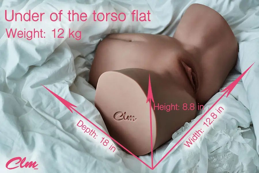 R5 Butt Torso CLM la parte inferior del cuerpo realista en TPE – imagen del producto 1