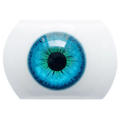 Color de los ojos 1