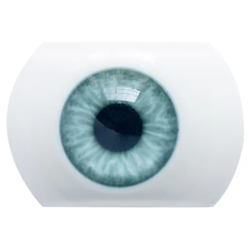 Color de los ojos 2