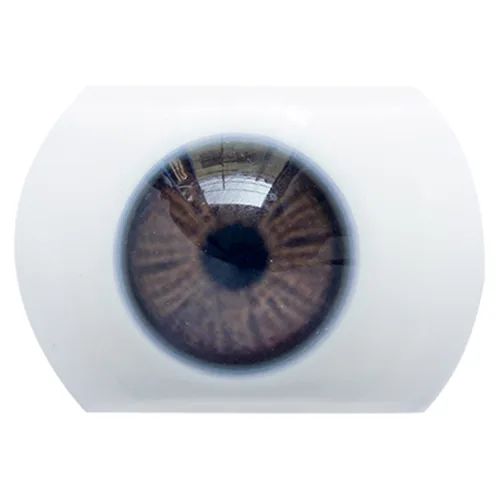 Color de los ojos 4