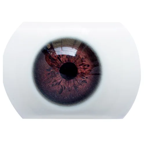 Color de los ojos 5