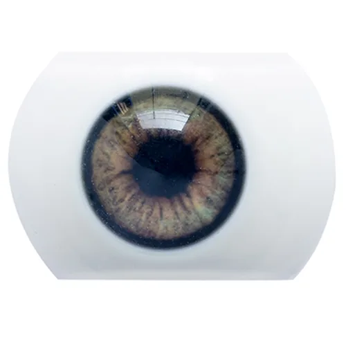Color de los ojos 6