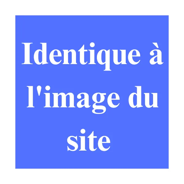 Identique aux photos du produit