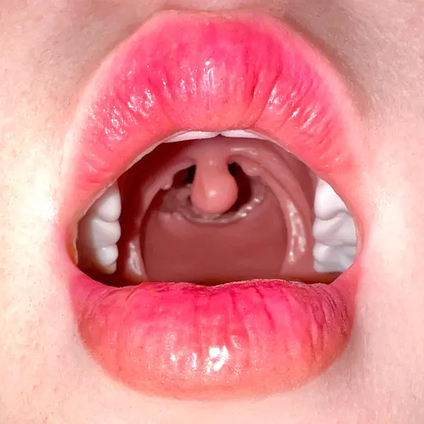 Cabeza con función oral realista